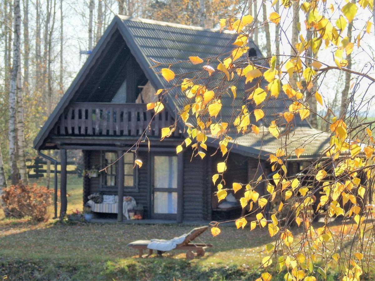 Farm stay Wieza Marzen Dabrowa Bialostocka