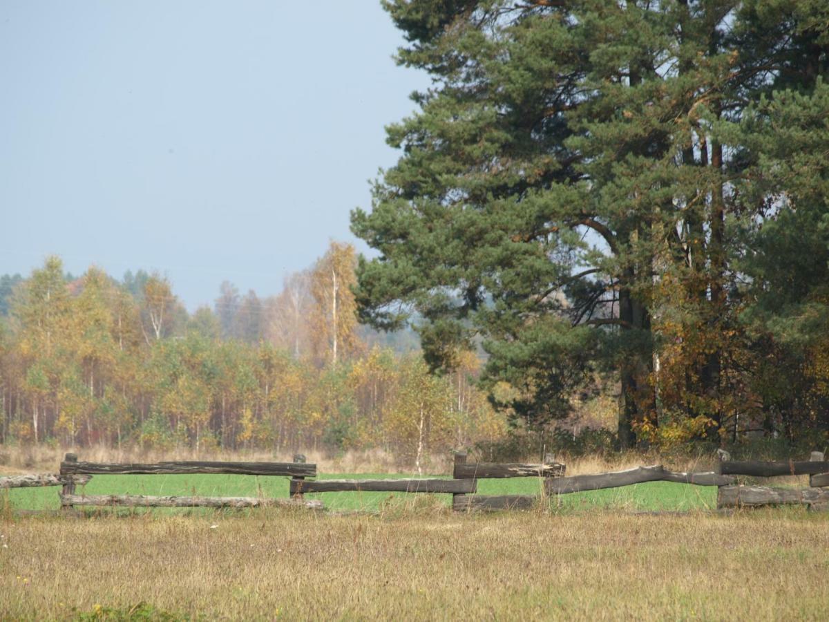 Wieza Marzen *